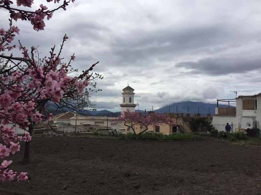 La Casa Rural De Paco Y Ana Pitres Exteriér fotografie