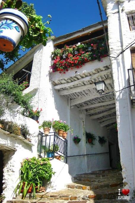 La Casa Rural De Paco Y Ana Pitres Exteriér fotografie