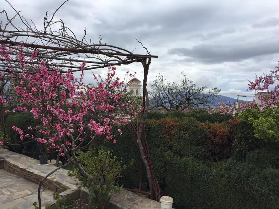 La Casa Rural De Paco Y Ana Pitres Exteriér fotografie