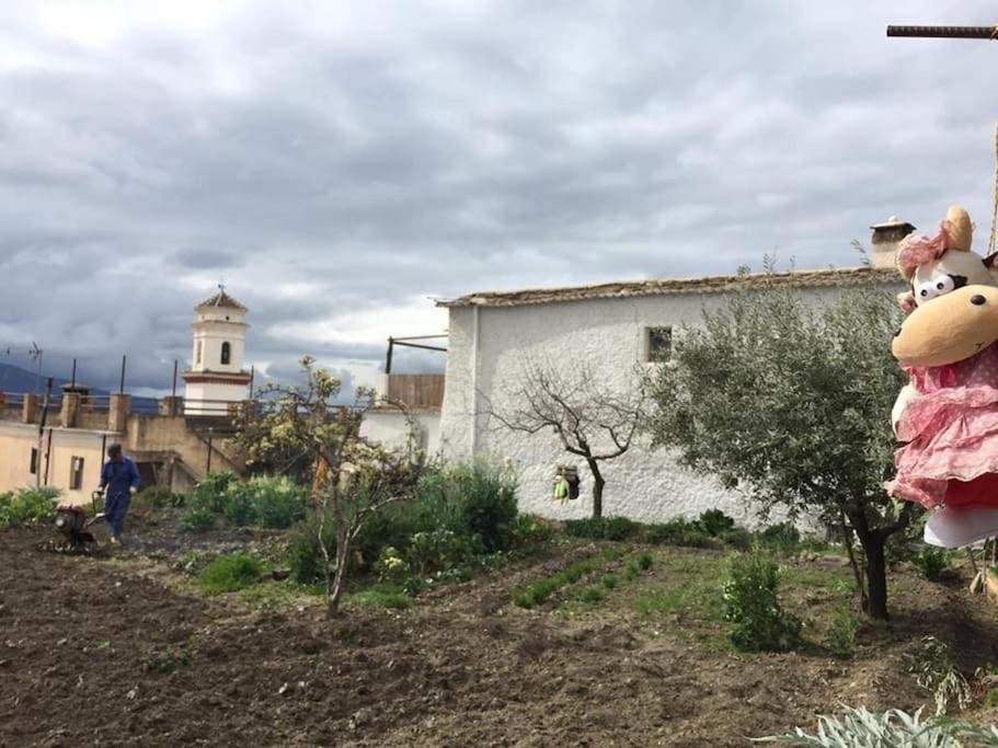 La Casa Rural De Paco Y Ana Pitres Exteriér fotografie