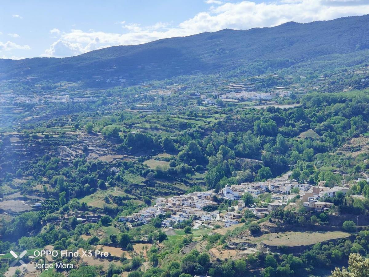 La Casa Rural De Paco Y Ana Pitres Exteriér fotografie